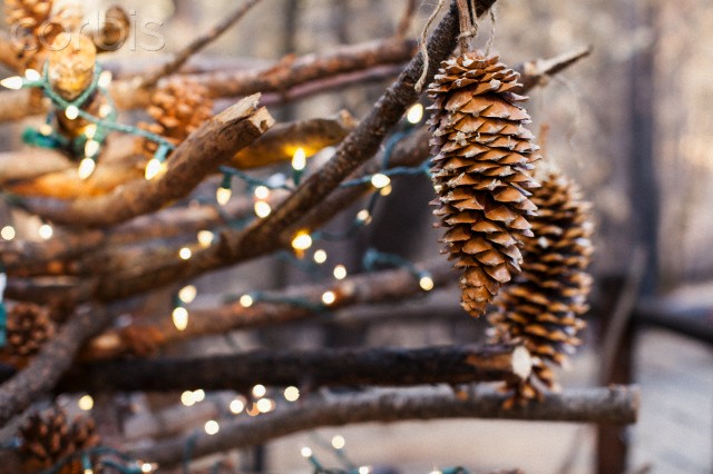 Pinecones hanging with lights